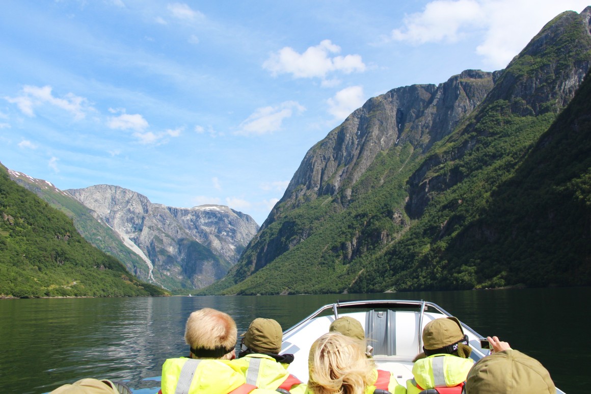 a fjord safari