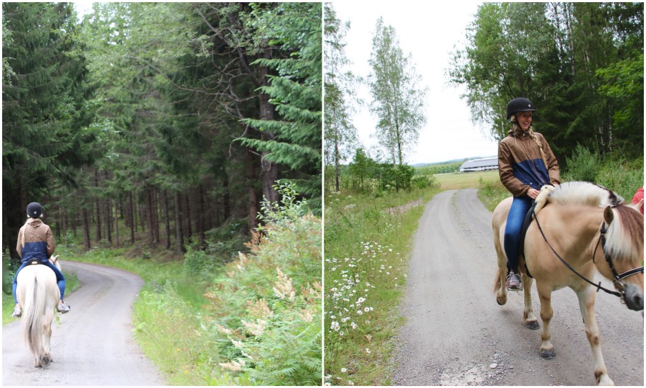 the sweden farm12