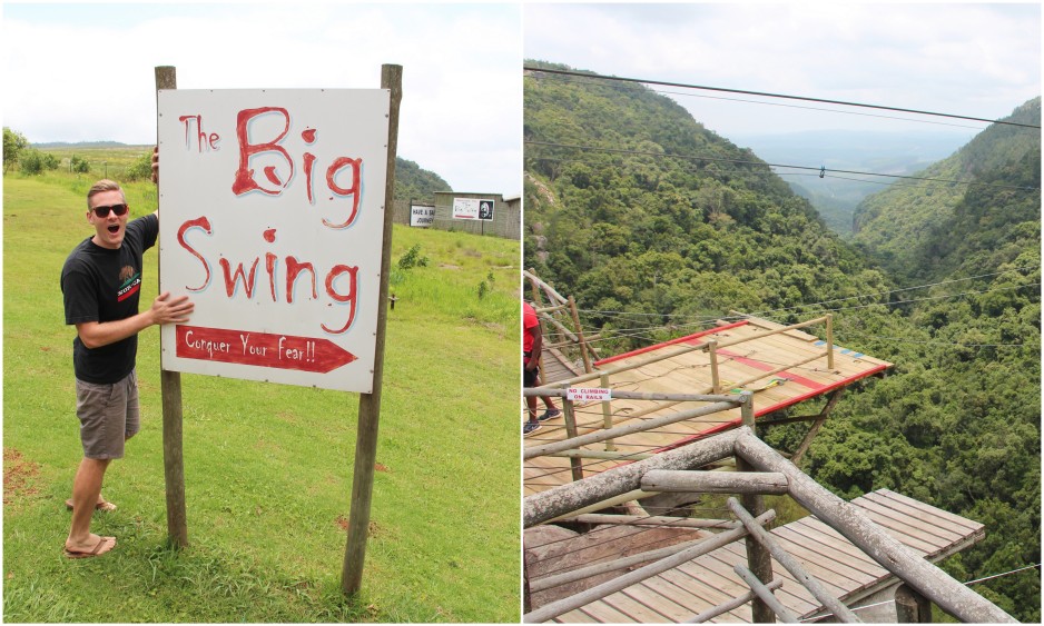wildlife spotting + bungee jumping2