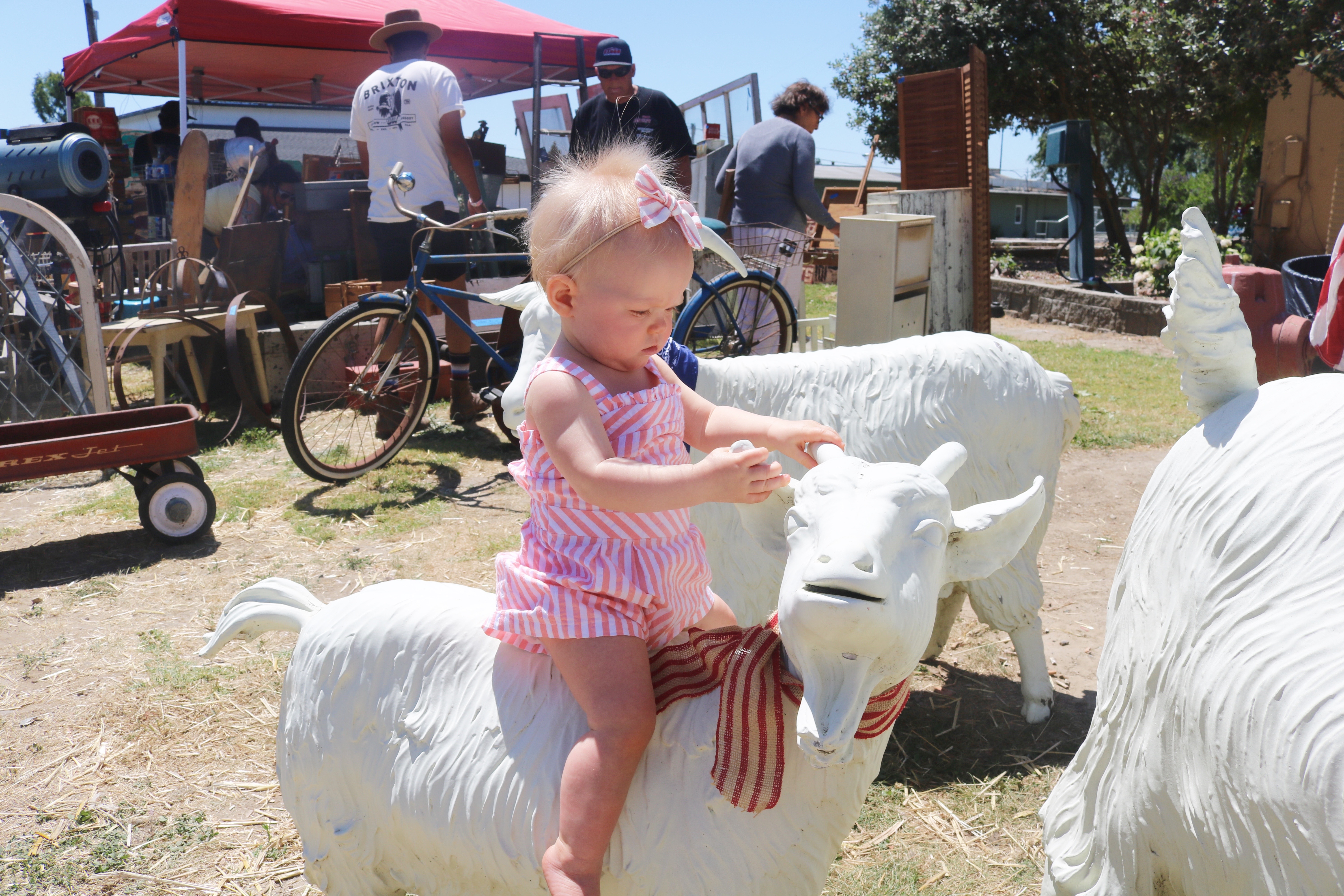 Goat Hill Fair