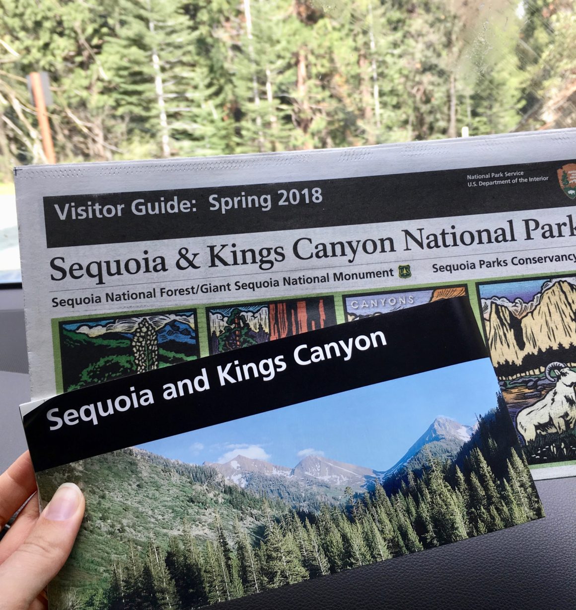 Sequoia National Park!