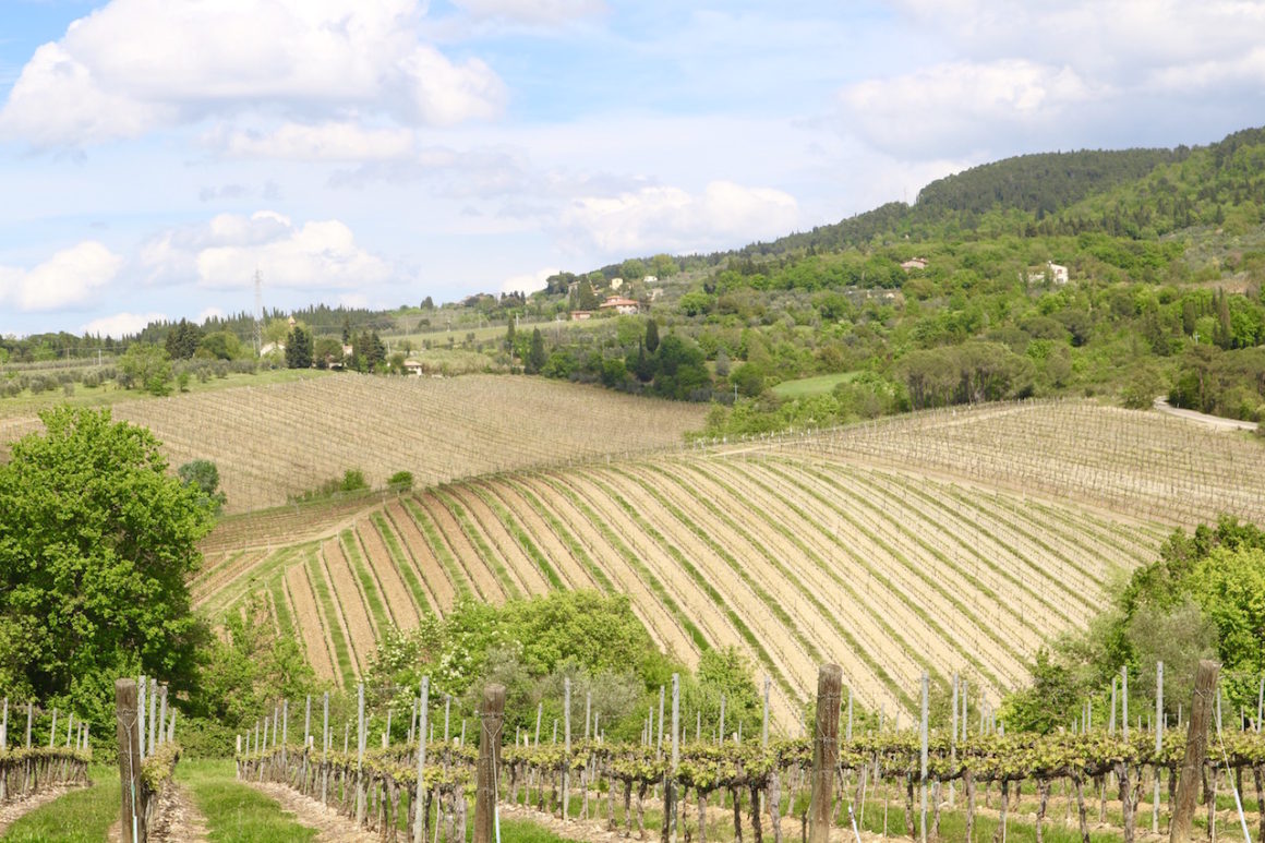 Tuscany Road Trip