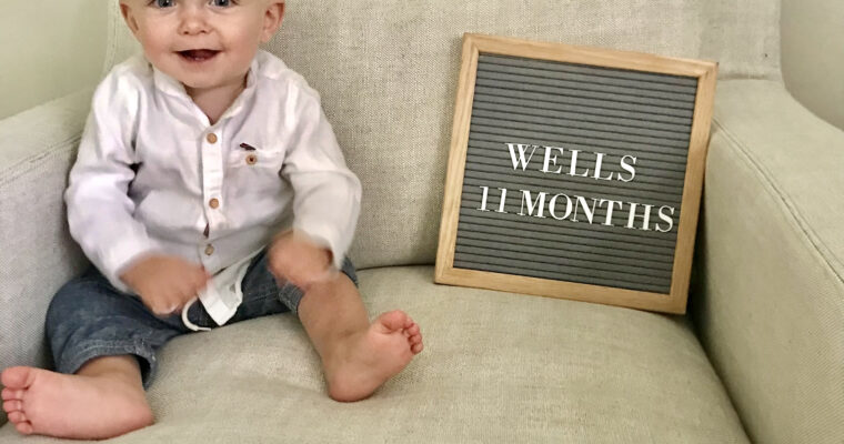 wells 11 months